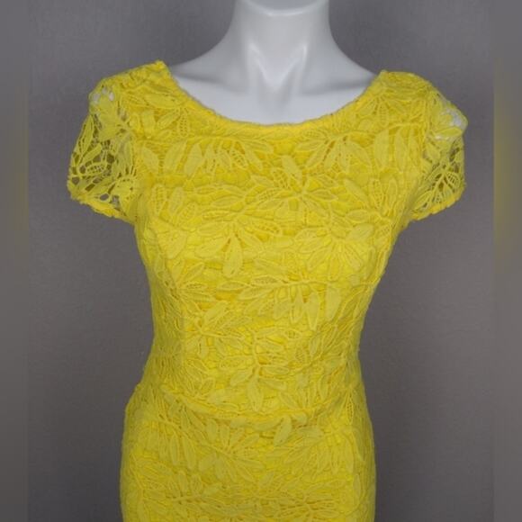 LuLu’s Right Sheer, Right Now Lace Bodycon Dress M - Picture 15 of 16